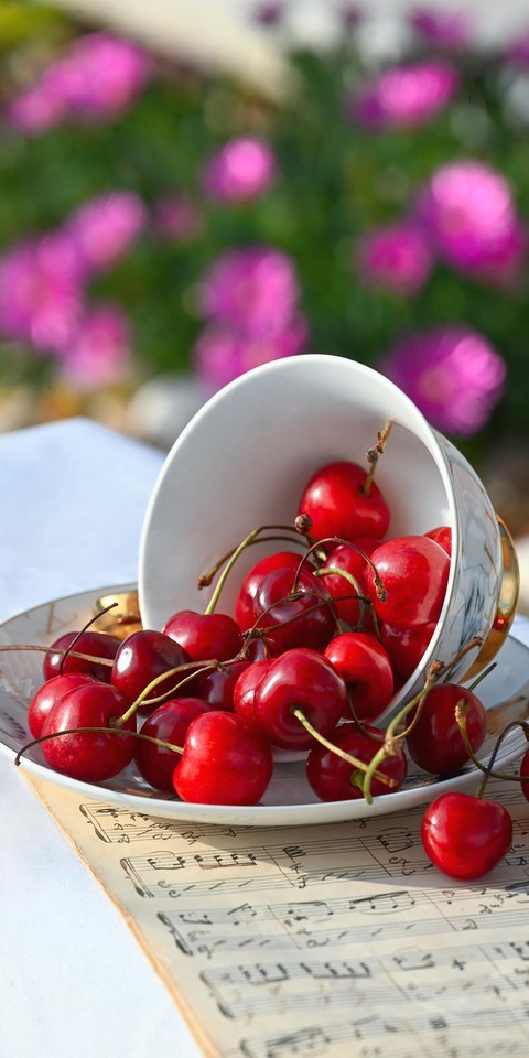 Produce, Fruit, Food