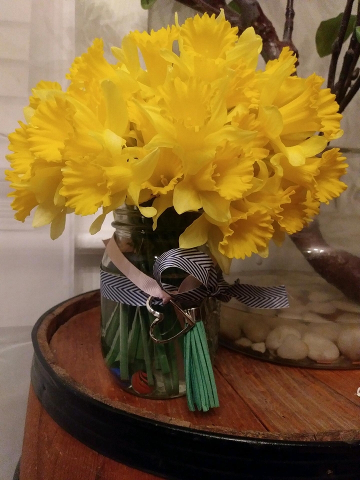 daffodils