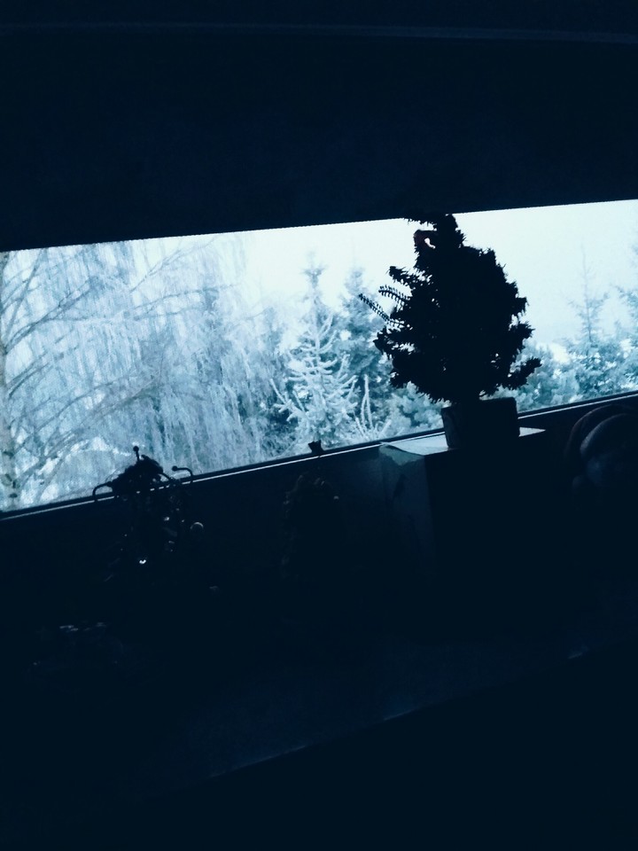Ice everthing ice
