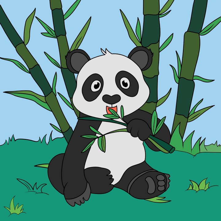 판다! 판다! 판다!  Panda! Panda! Panda!