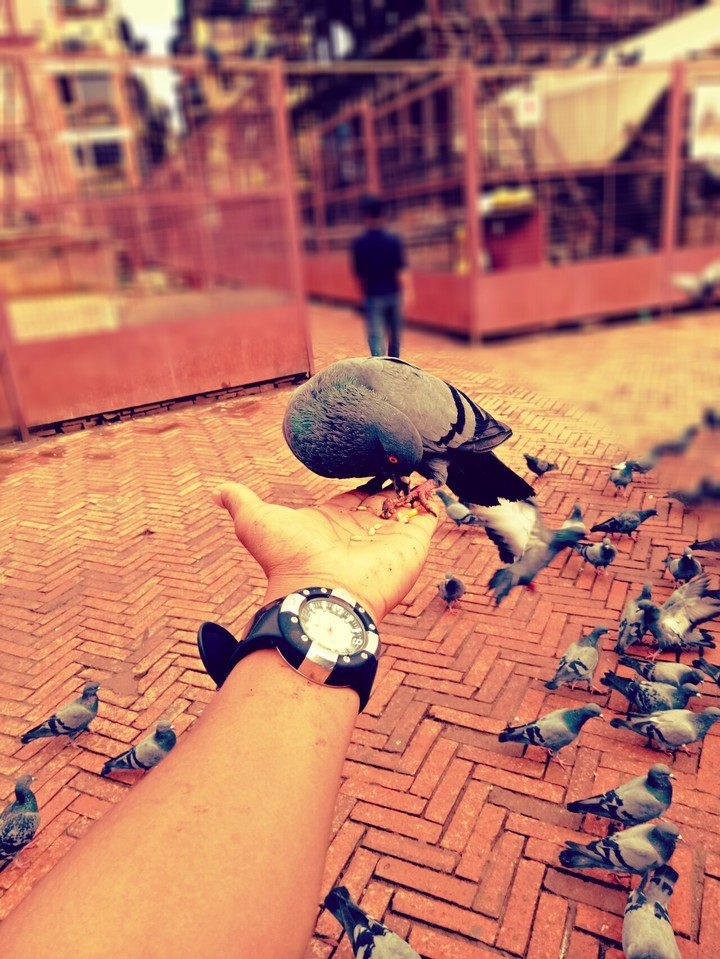 peace