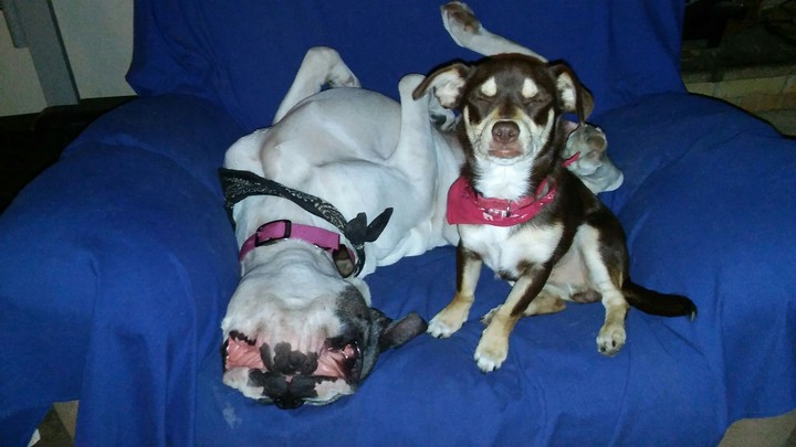 Best Friends are Hard to find!