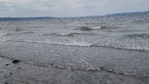 Puget Sound Tides
