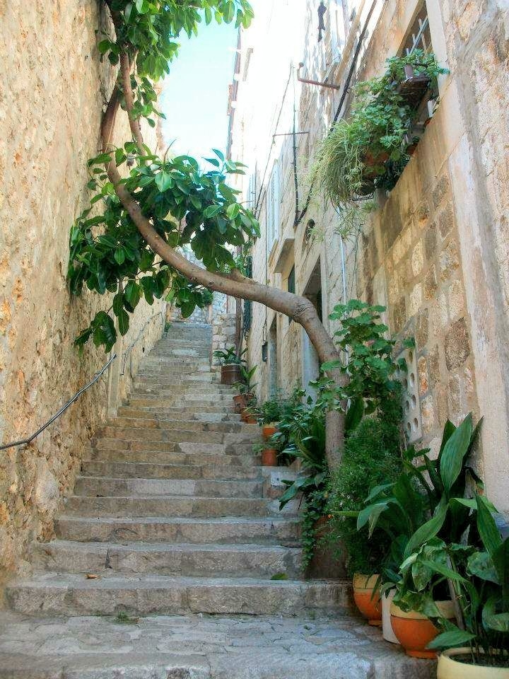 U Dubrovnik