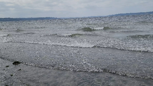 Puget Sound Tides