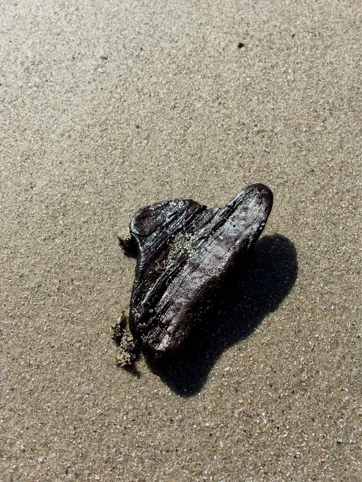 beach“life“