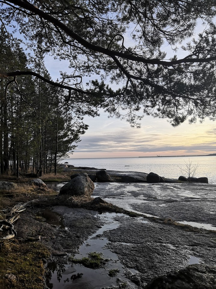 Gulf of Finland