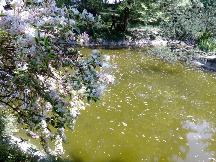 spring's lake