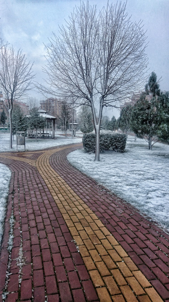 Snowy day