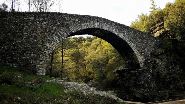 Bridge