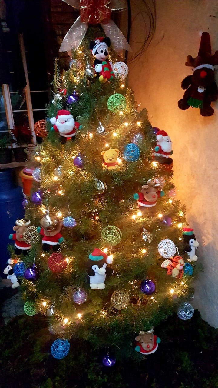 árbol con amor