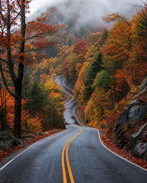 fonds d'écran road, nature