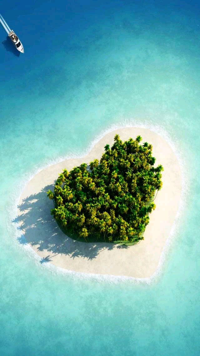 heart