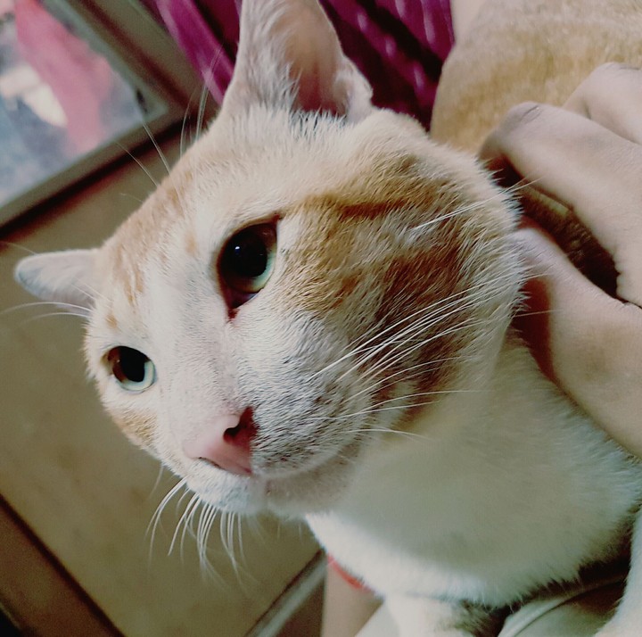 those eye's