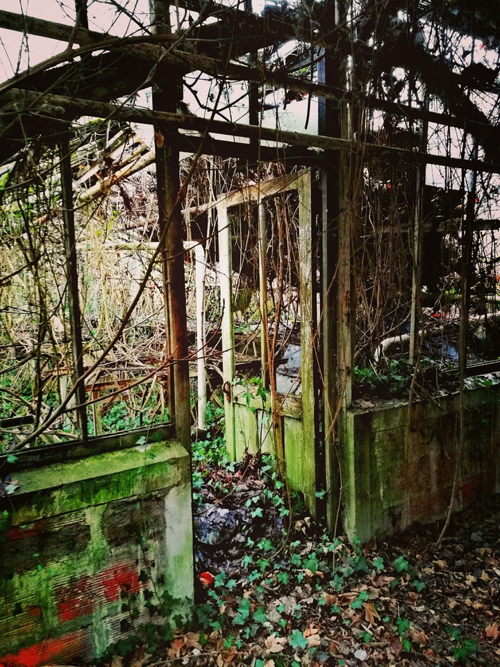 Greenhouse