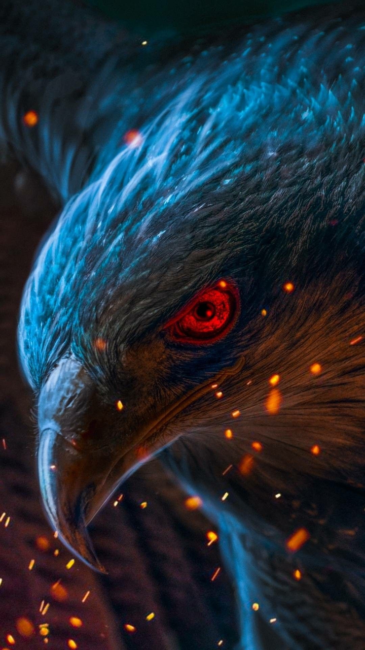 Adler