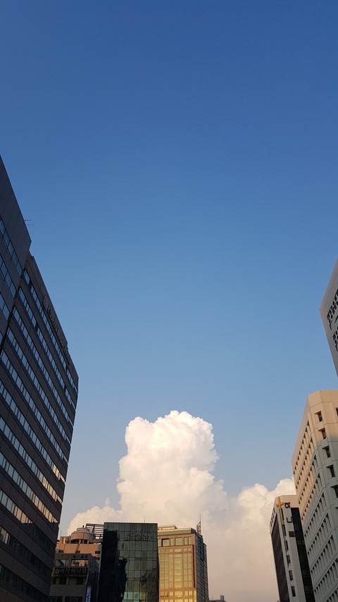 서울