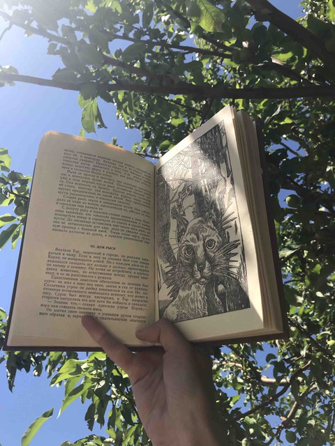 books, read