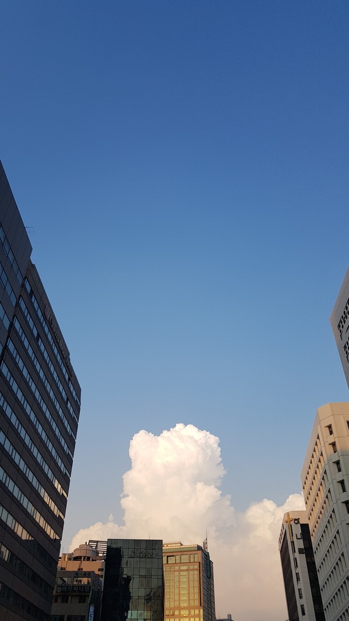 서울