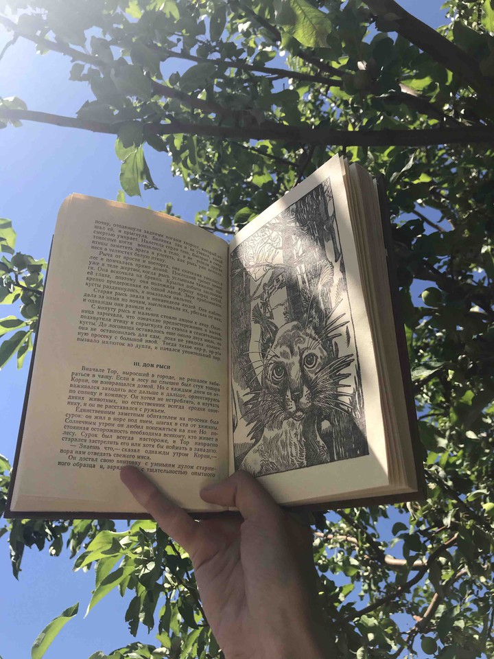 books, read