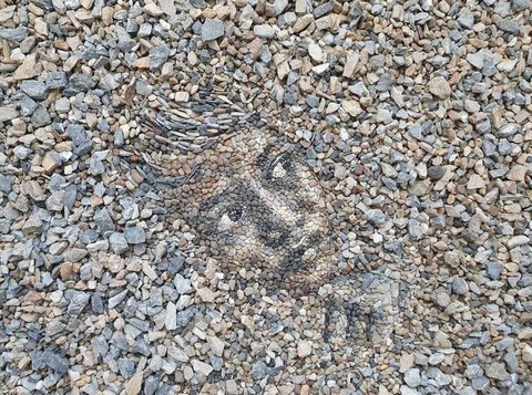 sfondi gravel, soil