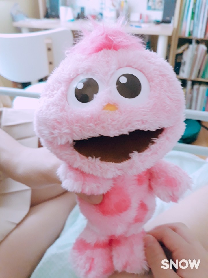 핑꾸몬