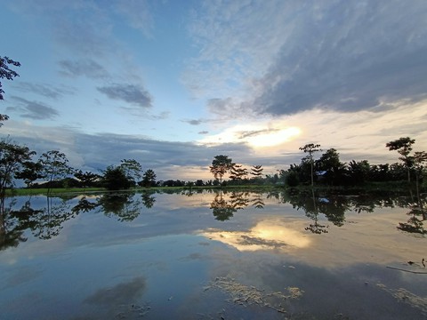 evening nature