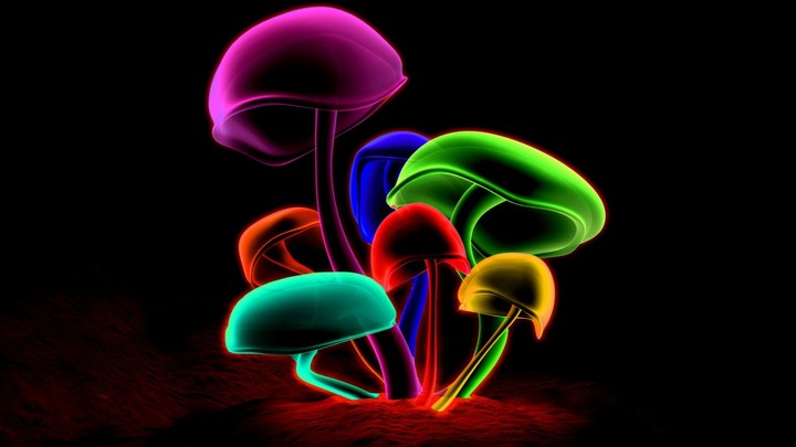 mushroom