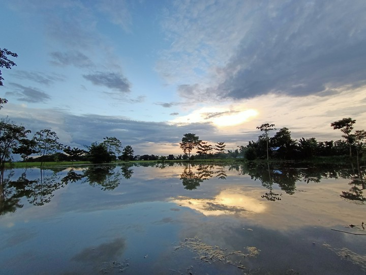 evening nature