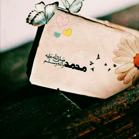 тапети butterfly, Paper