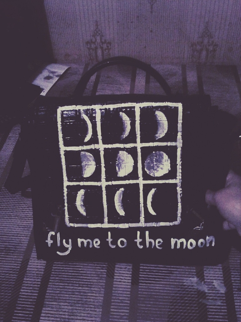 fly me to the moon …