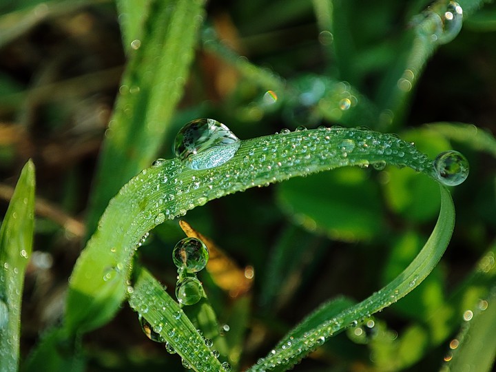 water drops