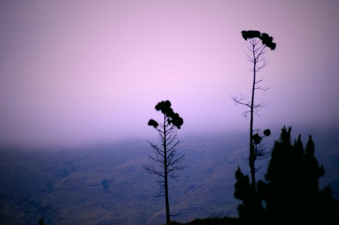 sky