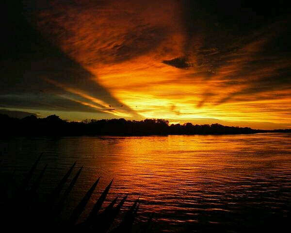 sunsets