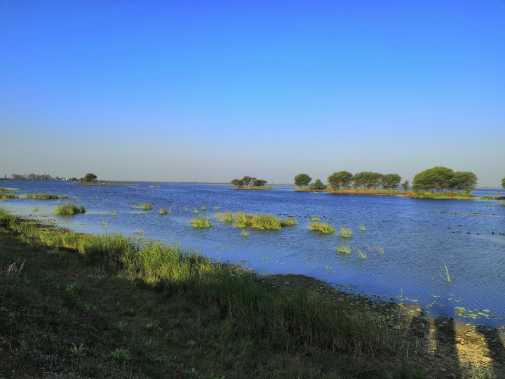 Lake in india famous for migratory birds