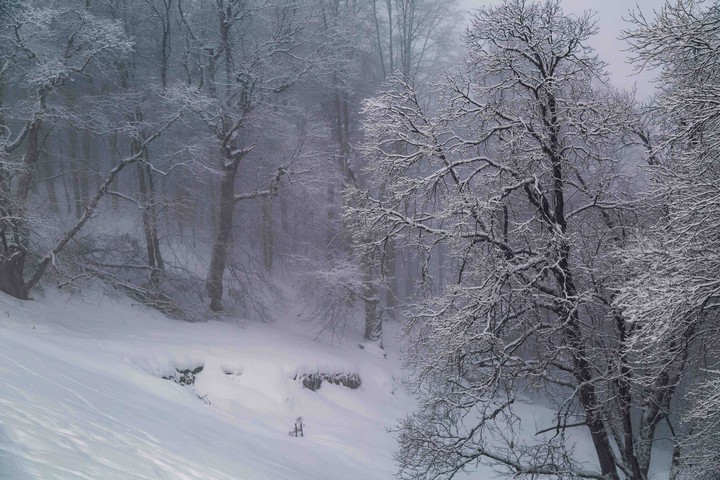 Snow and Winter