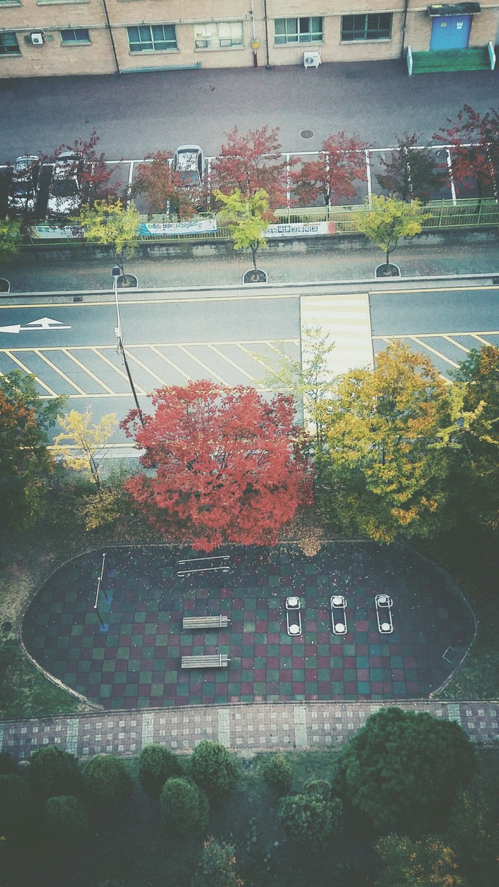 Autumn