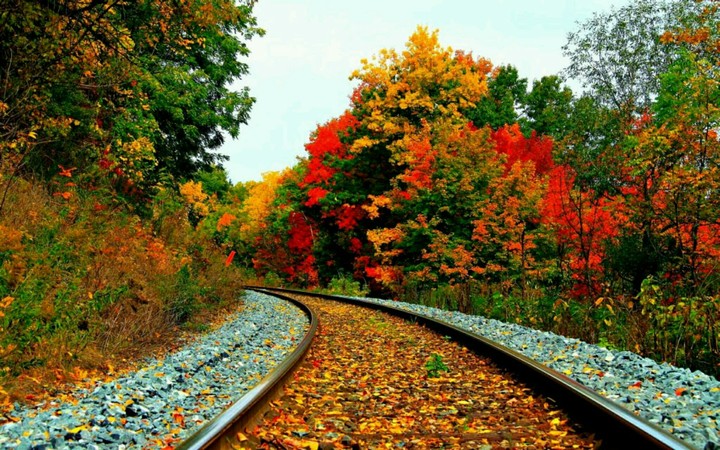 Rail Track
