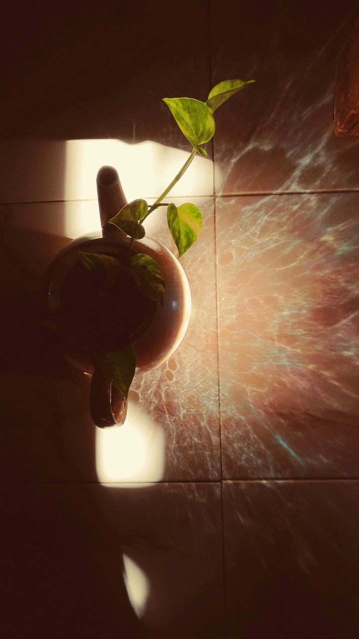 magic of sunlight