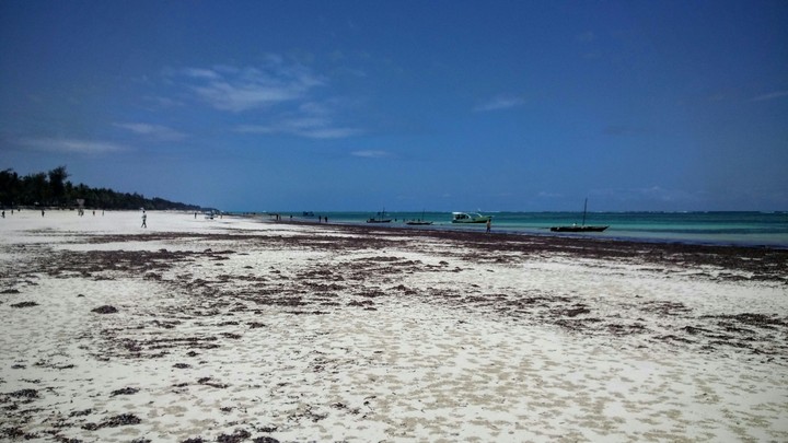 diani beach