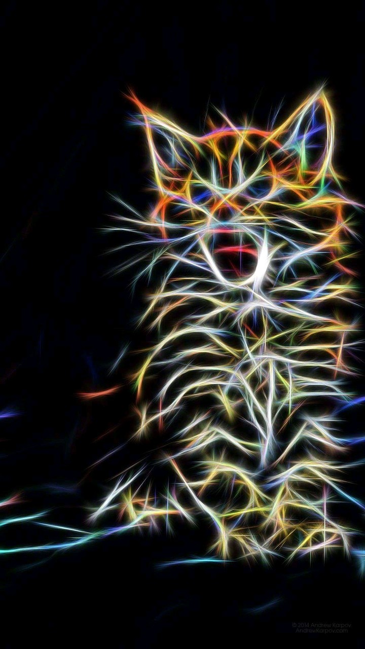 Cat?!?