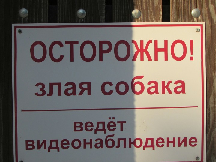 Непростые здесь собачки :-)