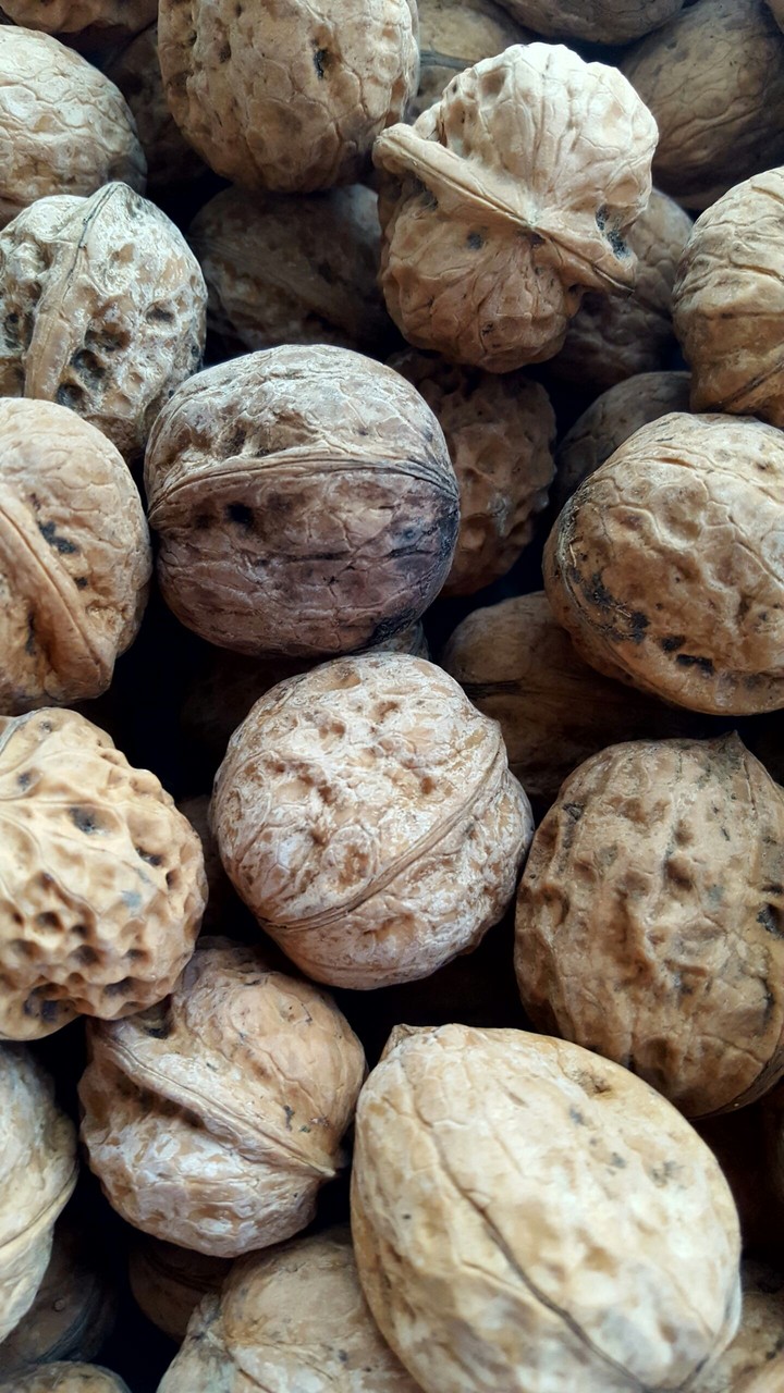 Nuts