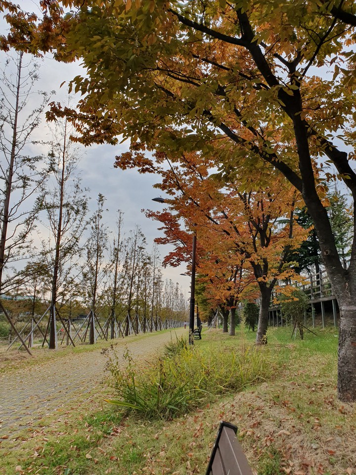 #자연#산책길#가을#