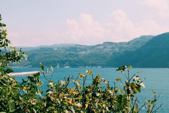 Amasra