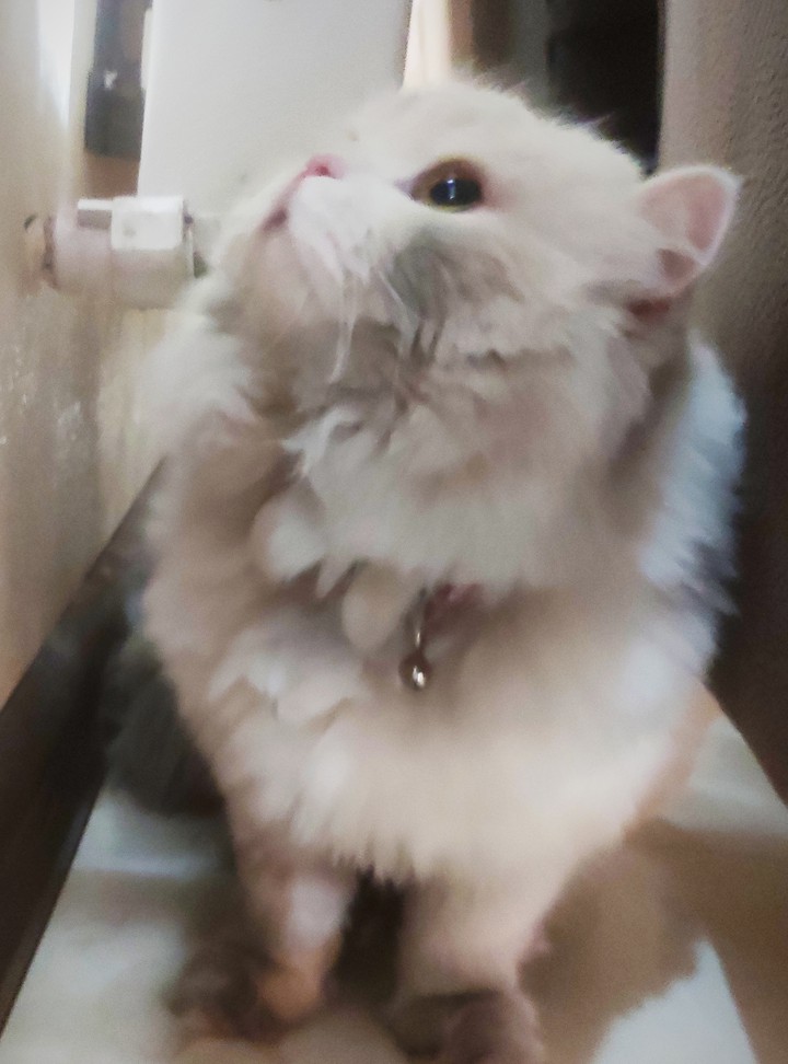 ?