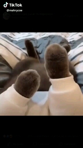 hfhdhfhtfrdghftdtdtdtdtdtdtdyfhfffuugdgffvggghhhgh