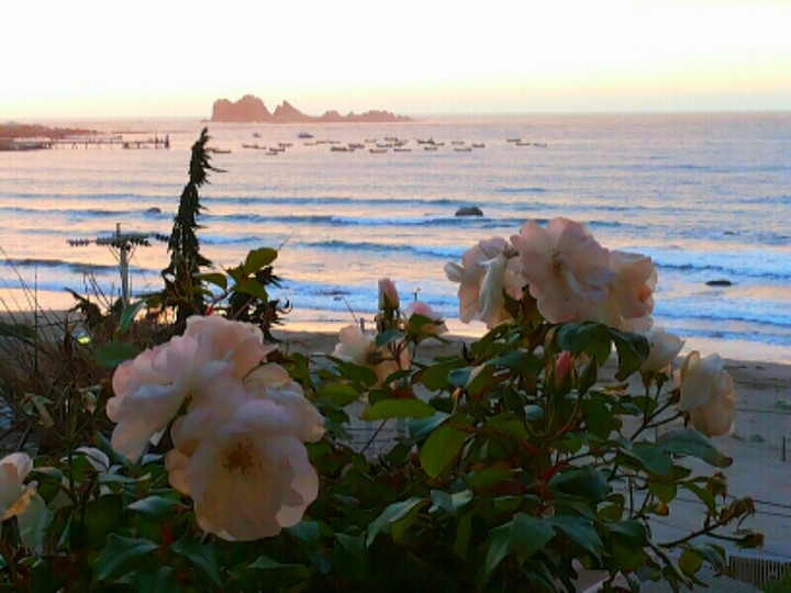 Atardecer