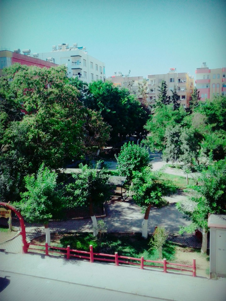 park