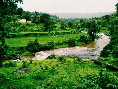 Nature